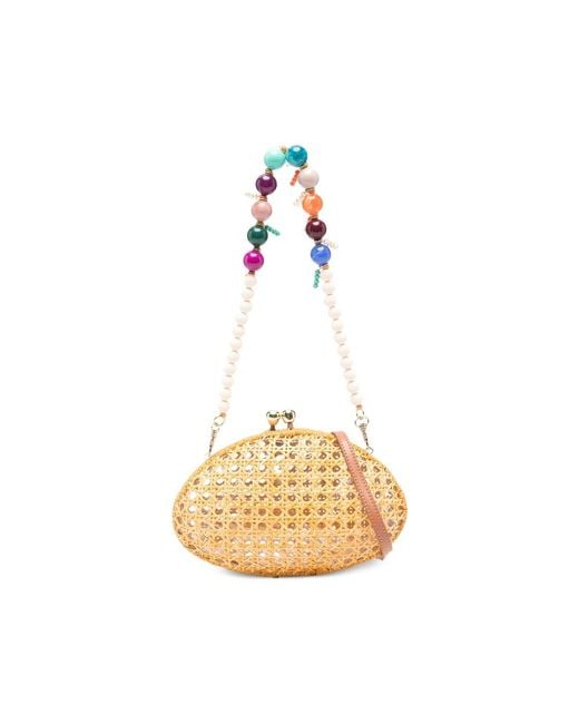Serpui Metallic Clutches