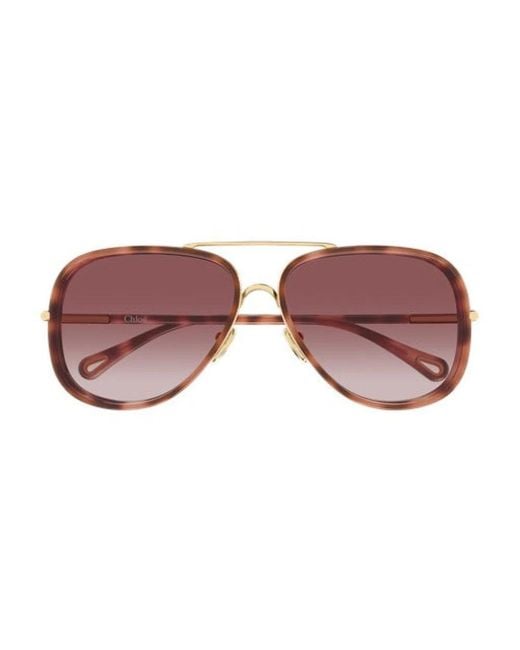 Chloé Brown Sunglasses