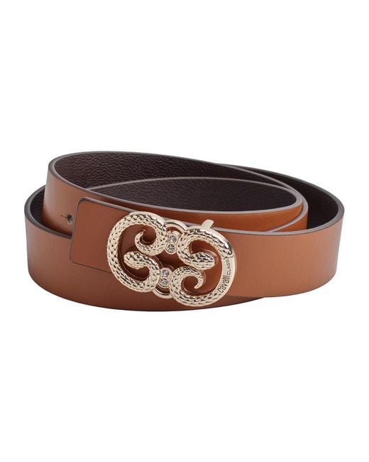 Roberto Cavalli Brown Belts