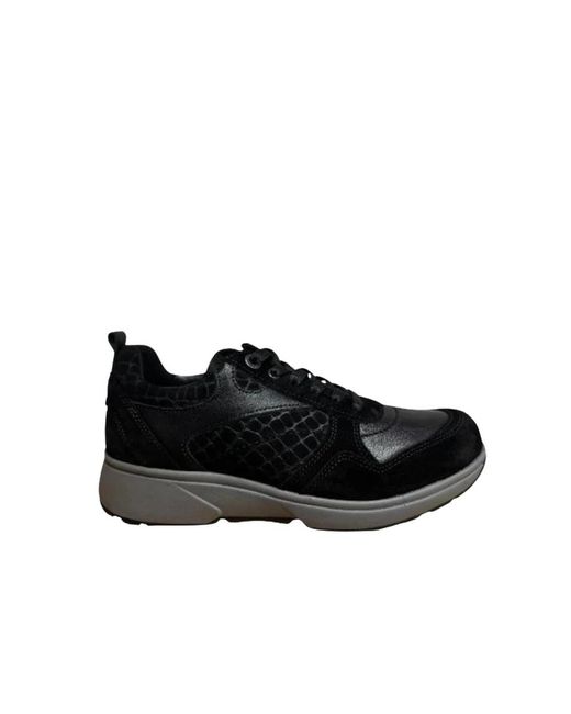 Xsensible Black Pula Hx