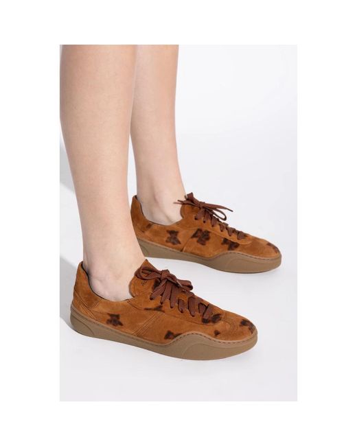 Acne Brown Bars Teddy Print Winter