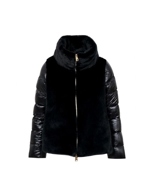 Down Jackets Herno en coloris Black