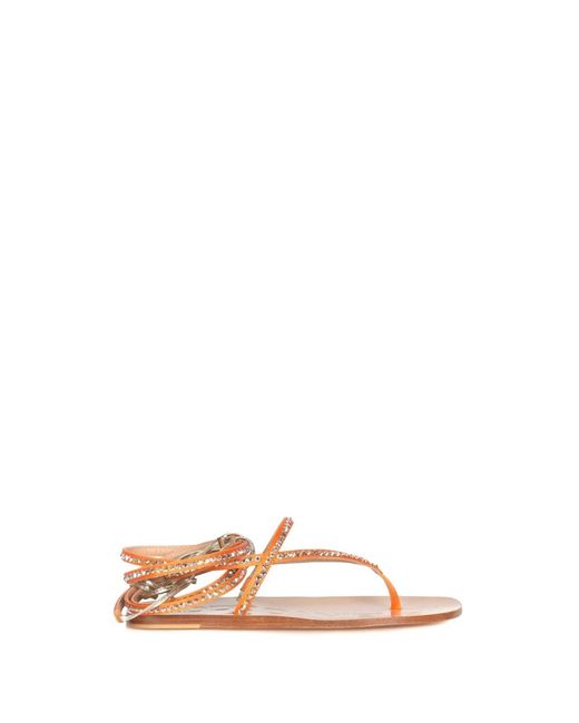 Eddy Daniele Brown Flat Sandals