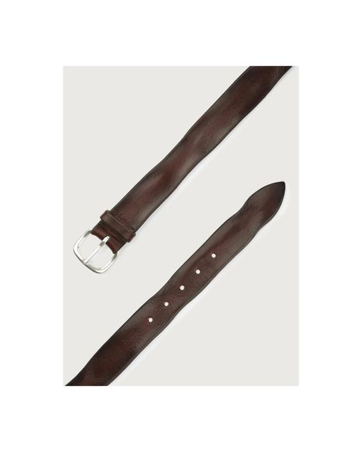 Belts Orciani de hombre de color Brown