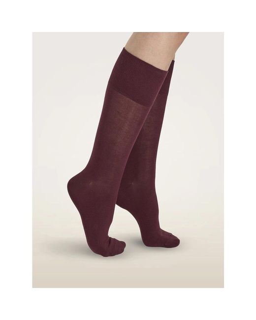 Socks Wolford de color Purple