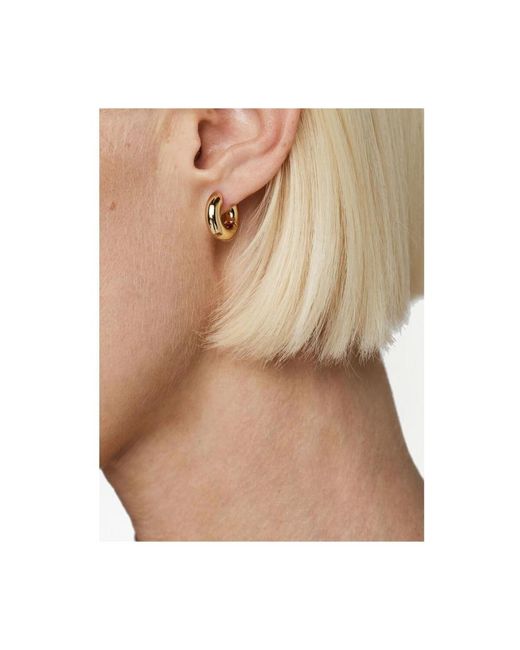 Anine Bing Metallic Chunky Hoop Ohrringe Poliertes Finish Paar