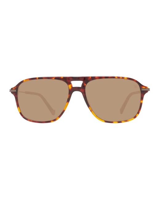 Hackett Brown Sunglasses for men
