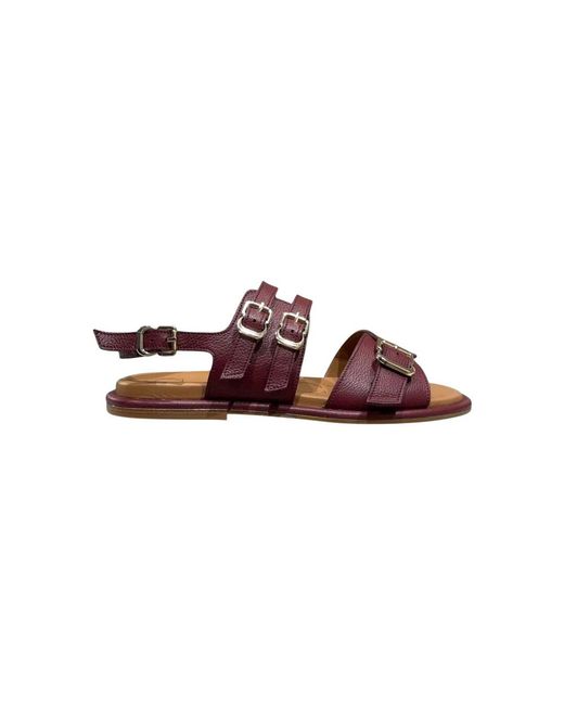 Calce Brown X2569 Berta