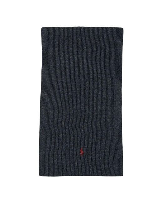 Winter Scarves Polo Ralph Lauren de hombre de color Blue