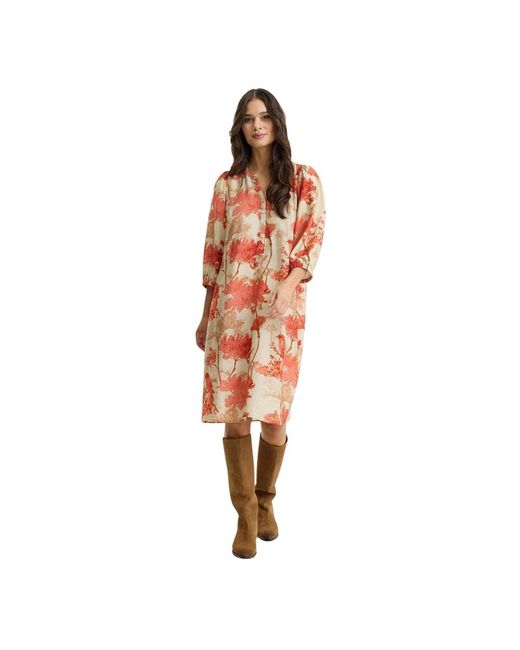 iN FRONT Multicolor Midi Dresses