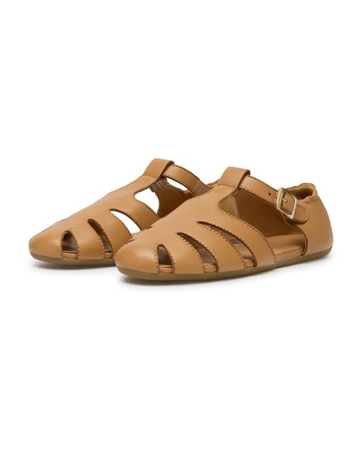 Candice Cooper Brown Flat Sandals