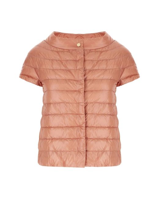 Winter Jackets Herno de color Pink