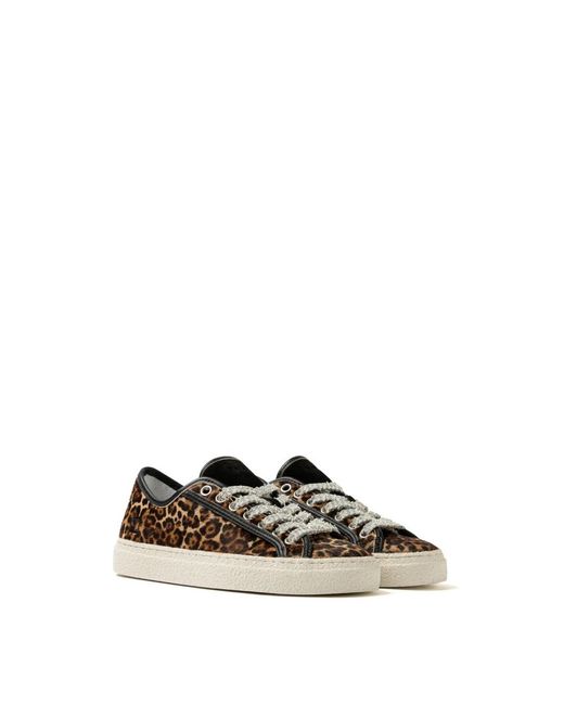 Date Brown Sneakers