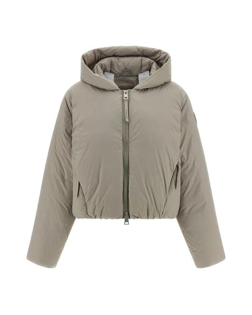 Canada Goose Gray Down Jackets