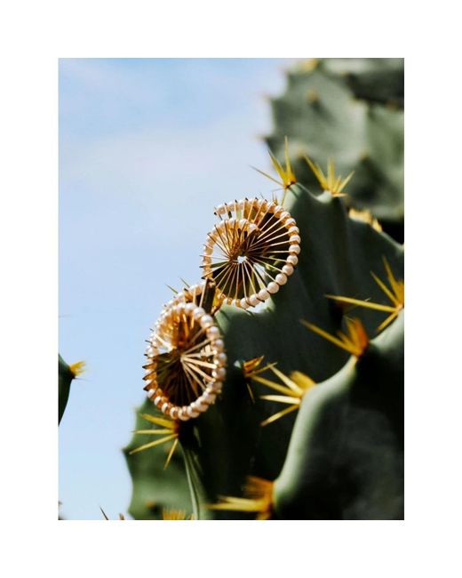 Earrings Rabanne en coloris Metallic