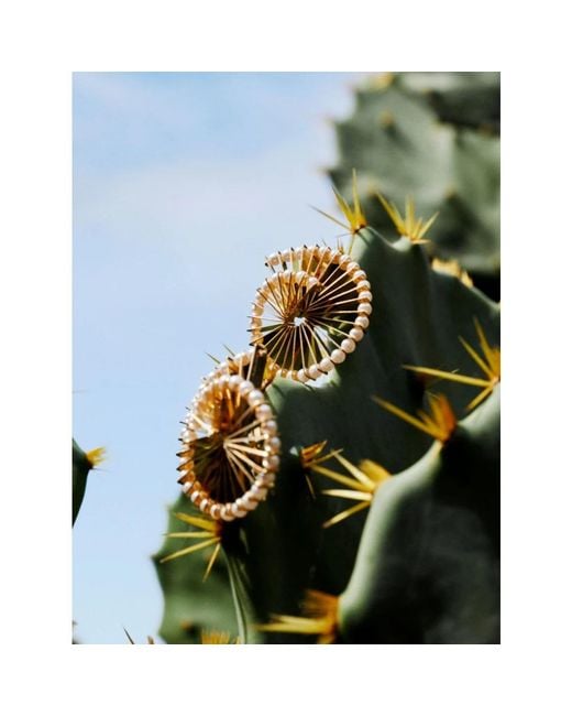 Rabanne Metallic Earrings