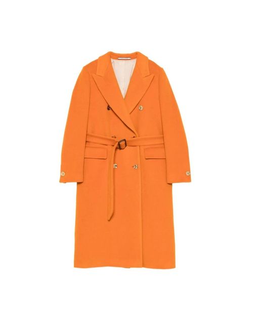 Tagliatore Orange Belted Coats