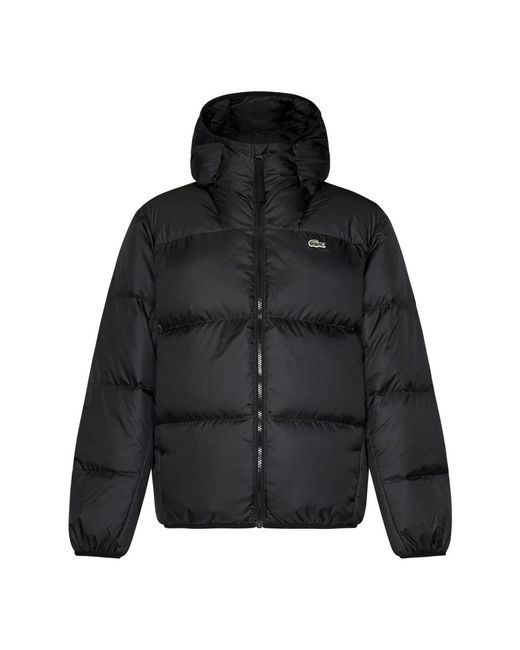 Lacoste Waterafstotende Gewatteerde Jas Met Capuchon in het Black voor heren