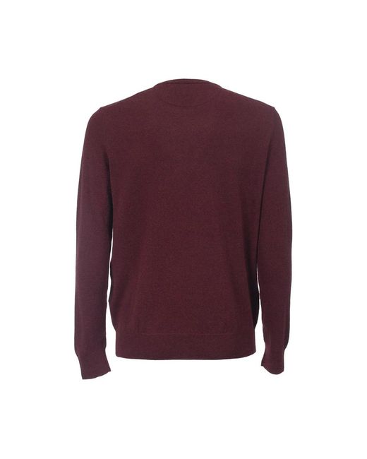 Polo Ralph Lauren Purple Sweatshirts for men