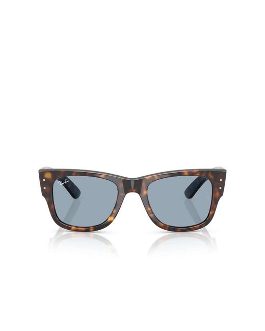 Ray-Ban Gray Sunglasses
