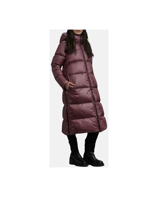 Blauer Purple Parkas