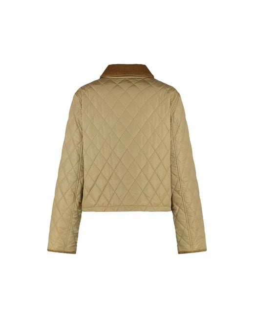 Light Jackets di Burberry in Green