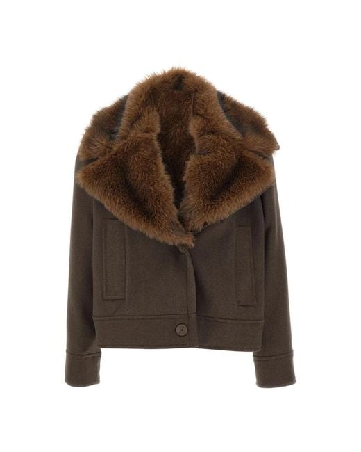 Light Jackets Kaos en coloris Brown