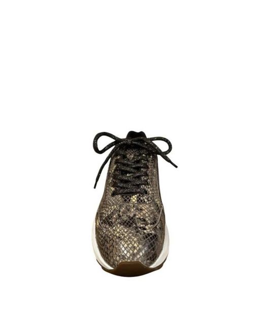 Xsensible Black Bailey