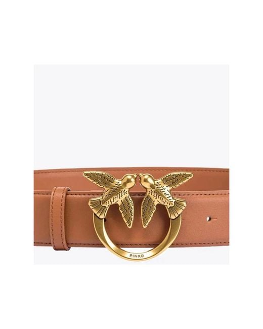 Belts Pinko de color Brown