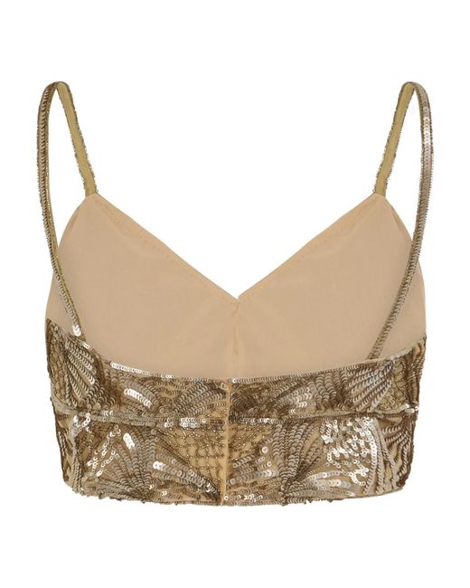 Alberta Ferretti Brown Sleeveless Tops