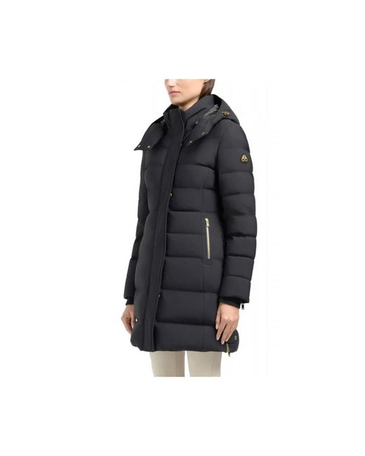 Down Jackets Moose Knuckles en coloris Black