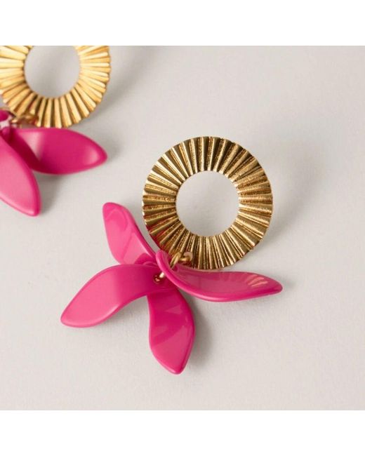 Petalos Rebujito, Mujer, Talla Malababa de color Pink
