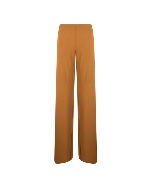 Alberta Ferretti Wide Straight Pants in het Brown