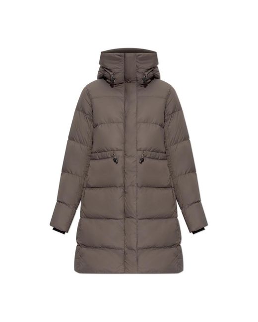Canada Goose Brown Down Coats