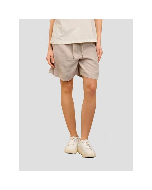 Blauer Gray Casual Shorts