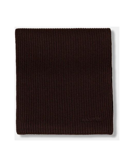 Lanvin Brown Accessoires Schals