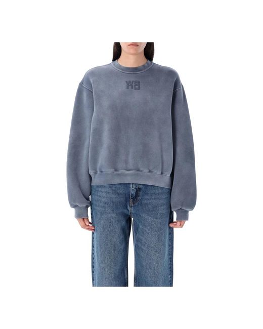 Alexander Wang Blue Sweatshirts