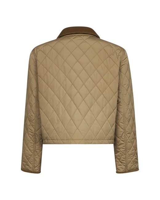 Burberry Green Light Jackets