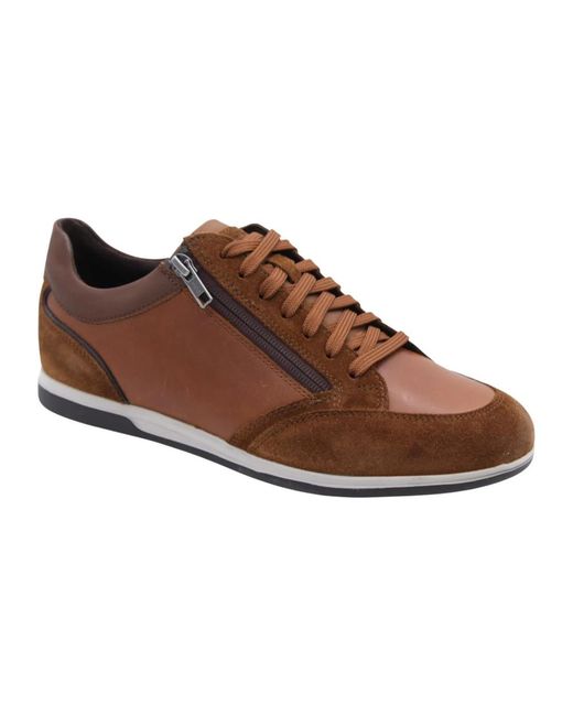 Geox Brown Sneakers for men