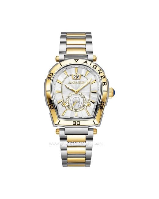 Aigner Accessoires ,Grijs ,Trapani Horloge in het Metallic voor heren