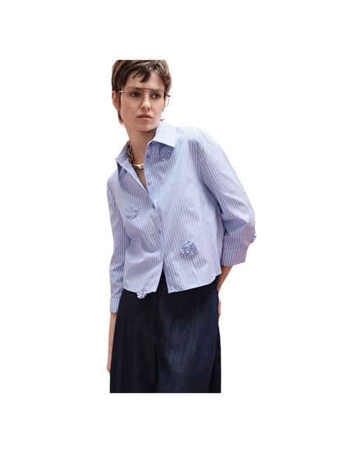 Imperial Blue Shirts
