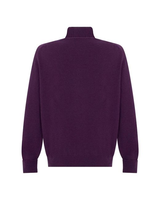 Fedeli Pullover Met Hoge Hals in het Purple voor heren