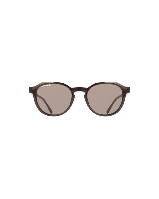 Lacoste Brown Glasses