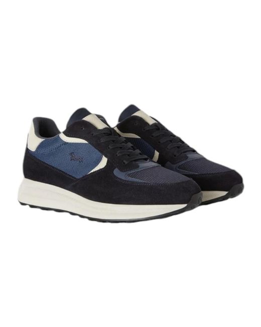 Harmont & Blaine Efm242.090.6230 in Blue für Herren