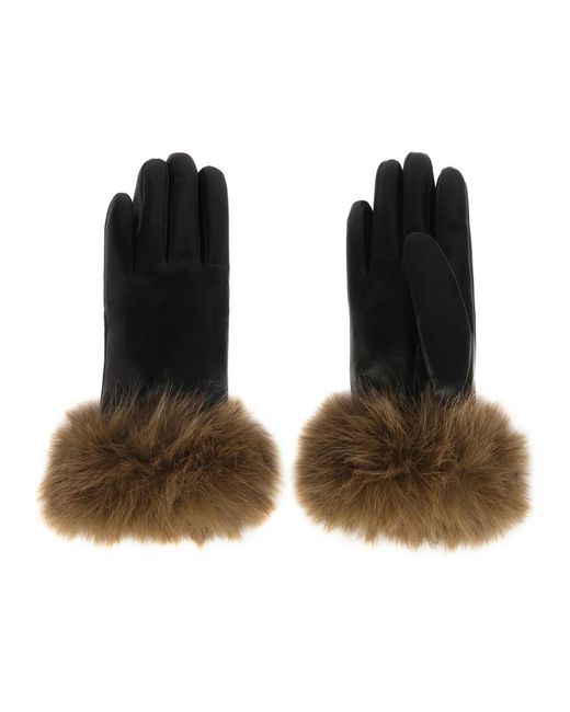 Gloves di Kazar in Brown