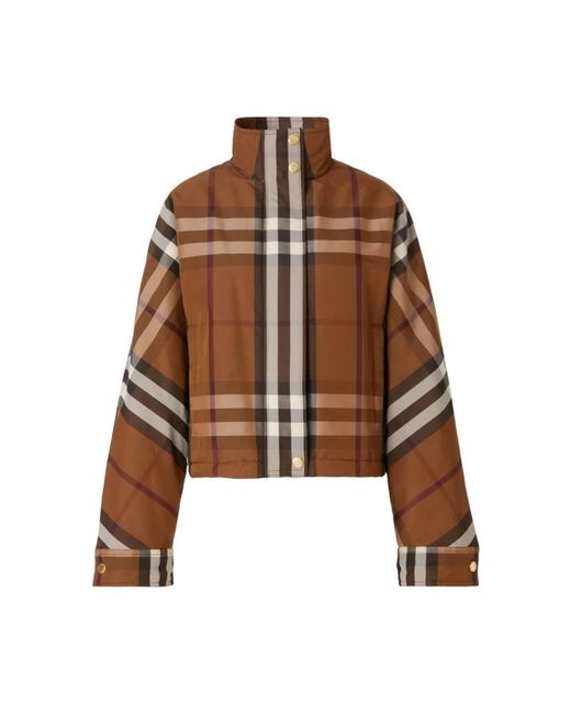 Down jackets di Burberry in Brown