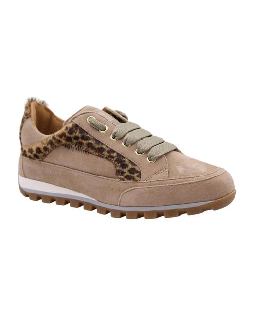 Candice Cooper Brown Sneakers