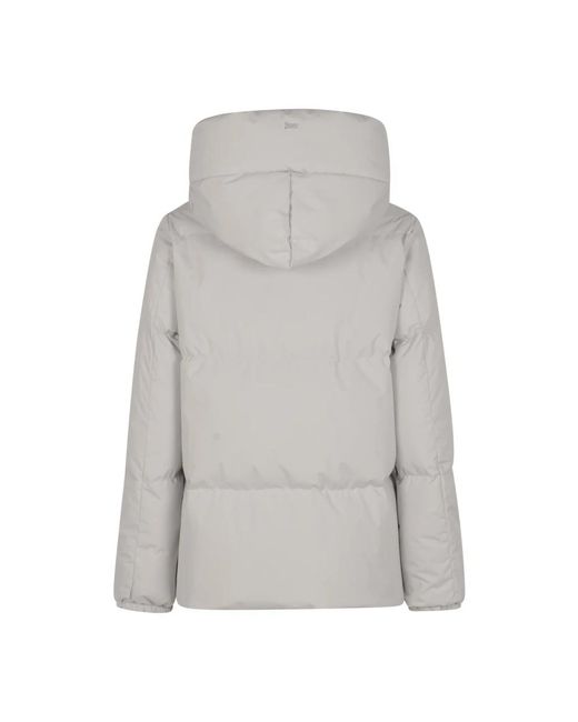Winter Jackets Herno de color Gray