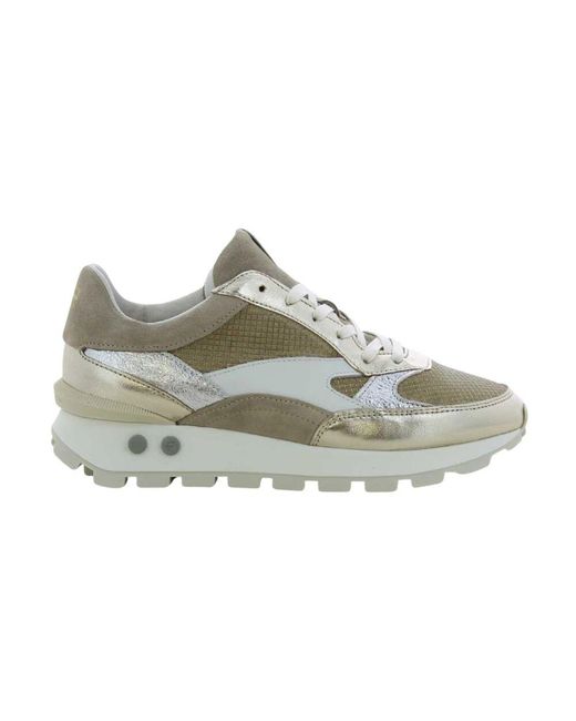 Floris Van Bommel Gray Goldene schuhe