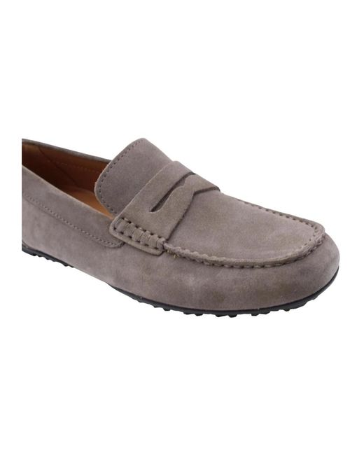 Shoes > flats > loafers Geox pour homme en coloris Gray